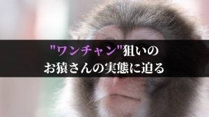 ワンチャン狙いの男の心理解説 ただのお猿さんではない実態に迫る 街コン戦略室