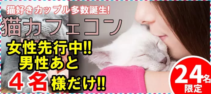 女性に人気！猫カフェ×街コンを徹底調査して分かったこと